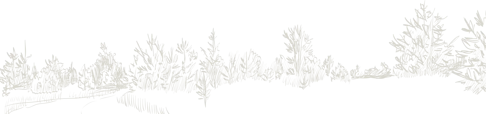 mountain-illustration